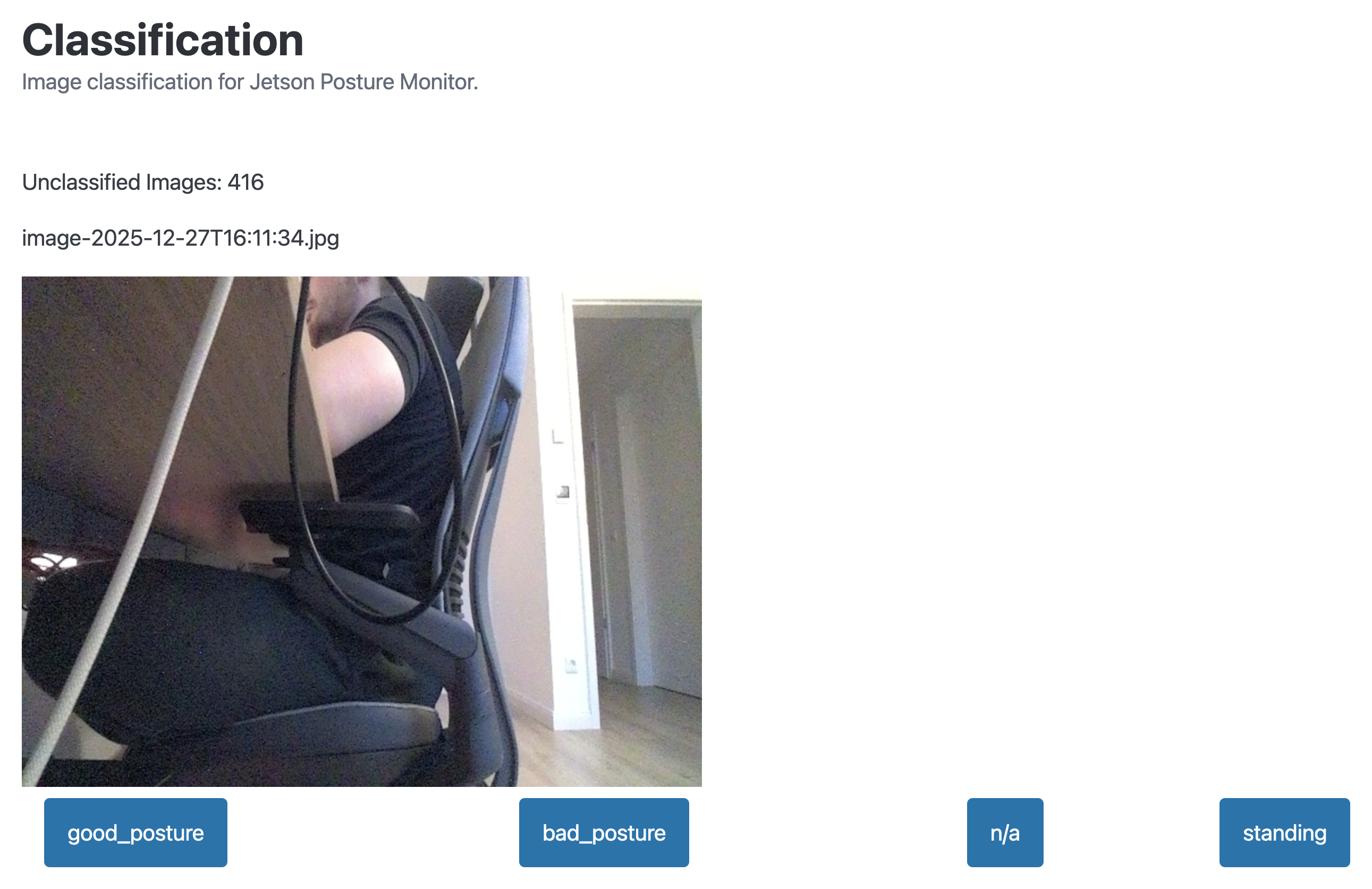 Web UI view for image classification